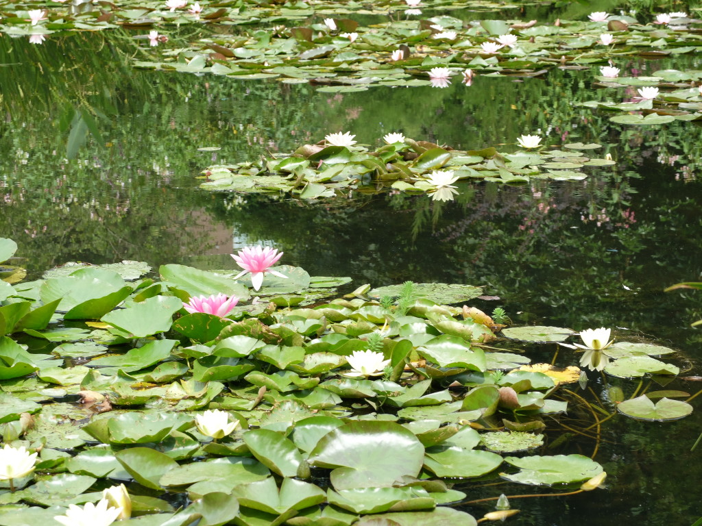 monet-giverny-france